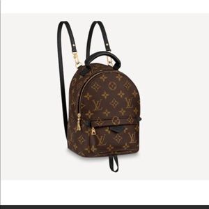 Louis Vuitton Palm Springs Mini